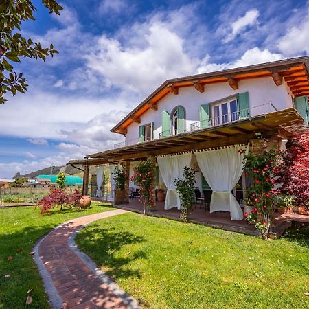 Villa Clara Few Km From The Sea - Happy Rentals Pietrasanta Extérieur photo